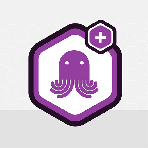 Gravity Forms EmailOctopus
