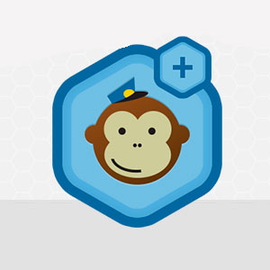 Gravity Forms MailChimp