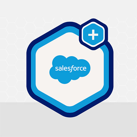 Gravity Forms Salesforce
