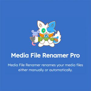 Media File Renamer Pro