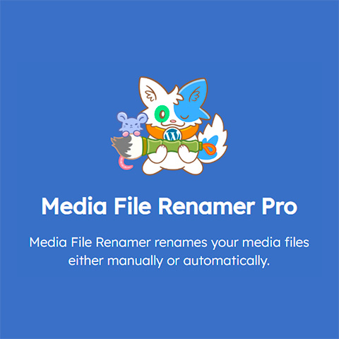 Media File Renamer Pro