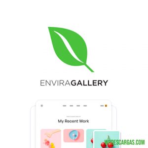 Pack Envira Gallery
