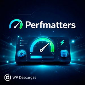 Perfmatters – Lightweight WordPress Performance Plugin
