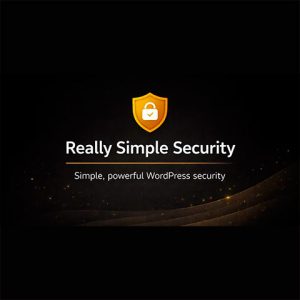 Really Simple Security Pro