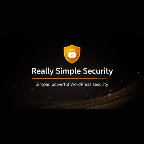 Really Simple Security Pro