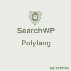 SearchWP Polylang Integration