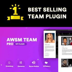 The Team Pro – Team Showcase WordPress Plugin